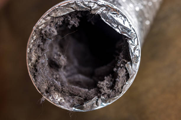 Best Local Air Duct Cleaning Services  in Coventry Lake, CT